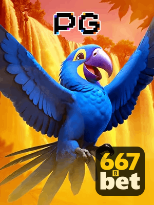 6677BET bônus — cashback 15 por cento e níveis VIP