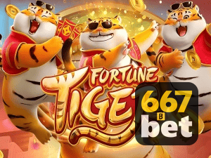 Guia install APK 6677BET BR